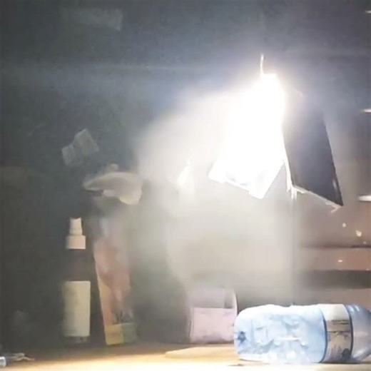 Canadian hybrids powerful air flow displaying hurricane #ceilingfan #shorts