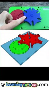 What is a Geneva Drive?