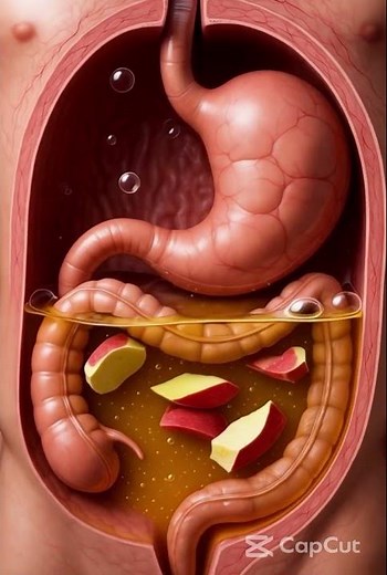 The Science of Digestion: What Really Happens in Your Stomach