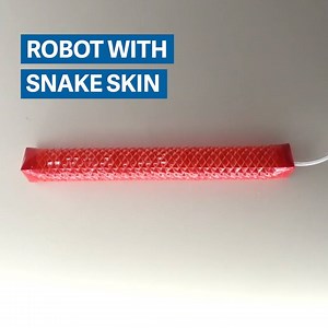 40K views · 128 reactions | This robot slithers like a snake. Its secret? It has artificial snake skin. | Quartz | Facebook