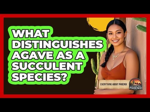 What Distinguishes Agave As A Succulent Species?
