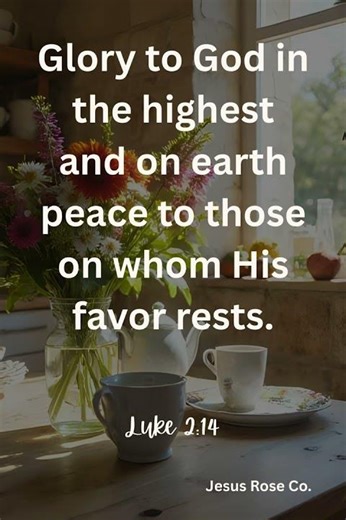 Catholic Bible Study | Luke 2:14 | Jesus Rose Co.✝️