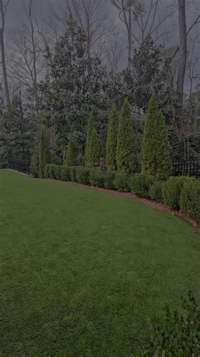 Transform Your Space with Artificial Turf Today