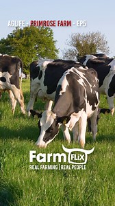 The one you've all been waiting for! 🙌🏼 The future of Primrose Farm and what is next for the Minford men. #farmflix #farming #agriculture | Farmflix