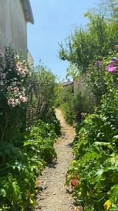 [PARENTHÈSE PAISIBLE SUR L’ÎLE DE RÉ] Et si vous preniez le temps de ralentir ? Le printemps est la saison idéale pour (re)découvrir l’île de Ré en toute sérénité. 🌿 Des plages sauvages aux parcs tranquilles, en passant par les pistes cyclables bordées de fleurs, les paysages se dévoilent dans une ambiance douce et apaisante. 🌳🌸 Entre terre et mer, offrez-vous une vraie pause nature. 🌊 👉 En savoir plus : https://www.iledere.com/decouvrir/bienvenue-ile-de-re/un-ecrin-naturel/ #destinationile