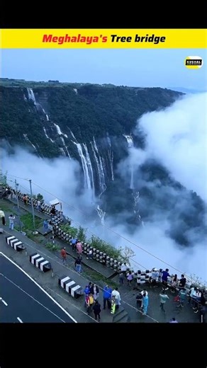 The Living Root Bridges of Meghalaya | Incredible Nature Wonder