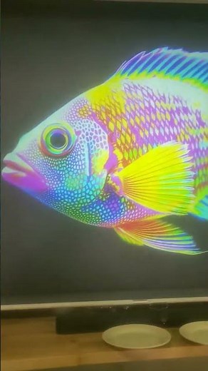 What your projector screen should perform like