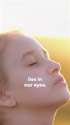 The Color of the Sky Exists in Your Brain