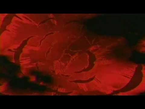 Dragon Ball Z Uncut Intro HD