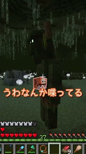 どっち？【マイクラ】