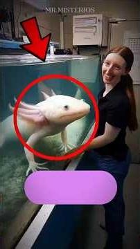 ¿Qué animal revivirías tú? 🧐💭 #encuesta #animales #curiosidades