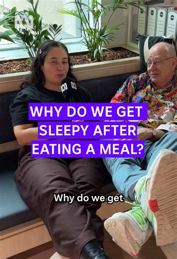 Understanding Post-Meal Sluggishness and Digestion