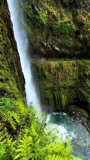 Beautiful Coastal | Mountains Meet the Ocean | Scenic Road Trip 🇳🇿 #USA #UnitedStates #America