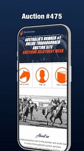 Check out this week's listings! Visit bloodstockauction.com to view the full catalogue 🐴 #bloodstockauction #thoroughbred #racehorse #horseauction #racehorses #racehorsesnz #racehorsesaustralia | Bloodstockauction.com