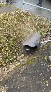 Such a satisfying video  Our Power+ Multi Tool Bristle Brush is certainly a hit, but we want to see how you are using your Multi-Tool at home. Fancy winning yourself an EGO Power+ 2.5Ah battery? Head over to our Instagram page @egopowerpluseu to find out how you can win by sharing with us your own Multi-Tool video! | EGO Power Plus | Facebook