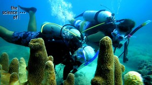 JU works with the Jacksonville Zoo to show behind the scenes scientific research and expeditions