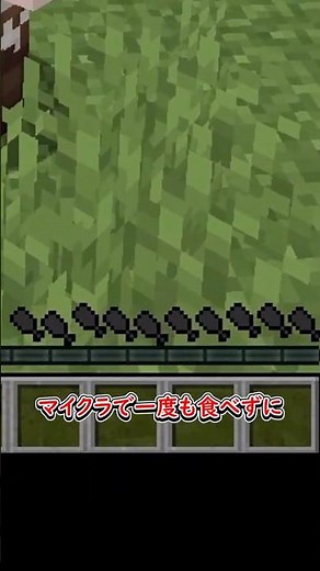 満腹度の仕様について【ゆっくり実況】【Minecraft】 #マイクラ #マインクラフト #ダイエット
