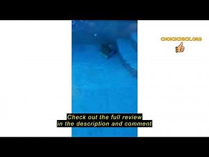 Review Dolphin Premier Robotic Pool Cleaner (2024 Model) with Multimedia, Oversized Leaf Bag, Standa