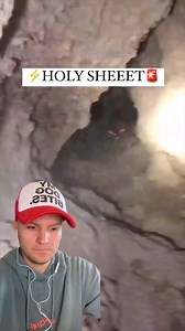 8.2K views · 36 reactions | Working dogs need to work! Even pet Pyrs...