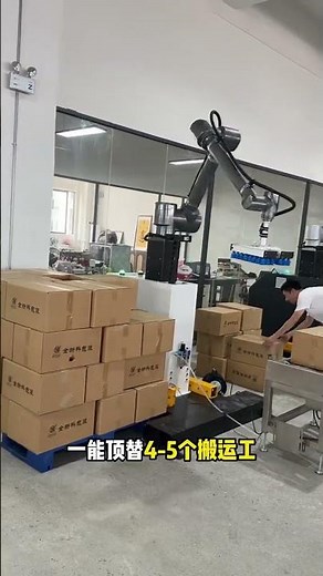 Flexible palletizing and handling processes easily handle multiple production lines palletizingan.