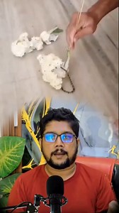 Cabbage Pest Solution Disclaimer: This video is only for educational and farming awareness. Use insecticides carefully and follow all safety instructions. The creator is not responsible for any misuse, overuse, or harm caused by improper handling of chemicals. #CabbagePestSolution #FarmingTips #KhetiGyan #OrganicFarming | Dr. Cardio