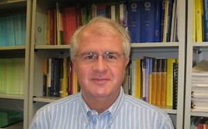 David Nualart - Malliavin calculus and normal approximation