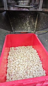 1.7K reactions · 84 shares | Máy lột vỏ hành ,vỏ tỏi của công ty chế tạo máy Tech Garden. Lh 0935911775 ( Zalo, Trần Trinh). | Trung Tâm Chế Tạo Máy - Chế Biến Thực Phẩm Tech Garden | Facebook