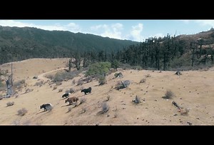 (APPA) trailer looks promising 😍🎬 --- full trailer : https://youtu.be/BxSLUU2TL0A | Friday Nepal