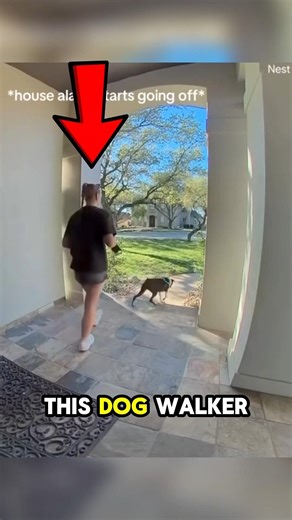 She Accidentally Backflipped The Dog! 💀😂