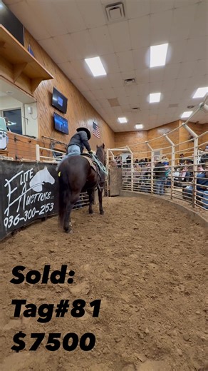 Elite Auctions LLC on Reels