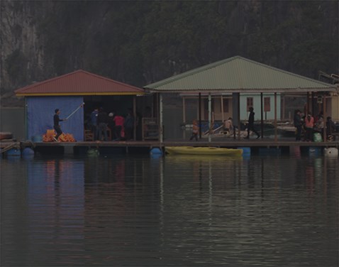 DE:Noise - RE:Vision Effects