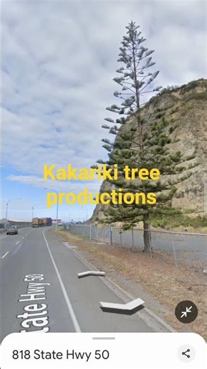 kakariki tree productions logo