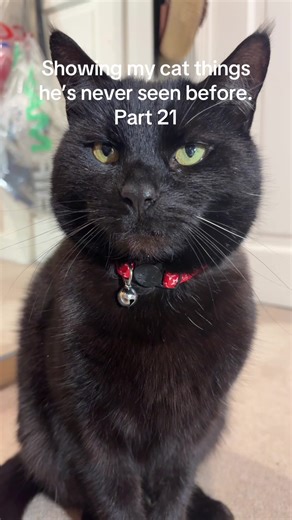 Gumball Discovers New Things: Part 21