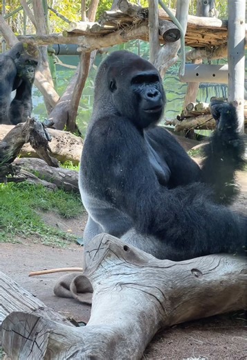 Meander.This.Way on TikTok