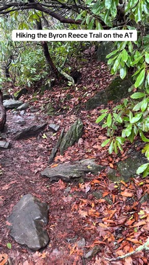 We hiked the Byron Reece Trail to blood mountain in the rain yesterday #jamarexploresgeorgia