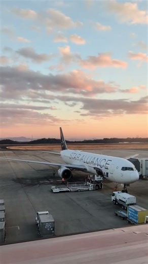 【機長機外点検】スタアラ塗装 B767 ＃パイロット ＃B767