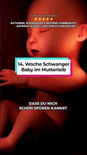 14 Woche schwanger: So sieht dein Baby in Schwangerschaftswoche 14 aus