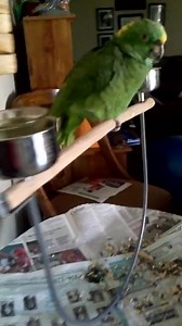 51K views · 3.4K reactions | My friend Susan hooked Nick up with a...