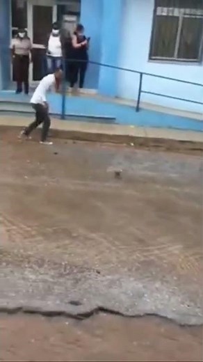 Se vitaliza un vídeo de los cubanos “pescando” clarias en plena calle en Mayabeque, Cuba