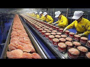 TUNA Canning Process in the Factory from Start to Finish
