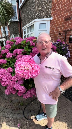 Wilted and Droopy Hydrangeas? We have all the tips and tricks to keep them crispy and fresh for days