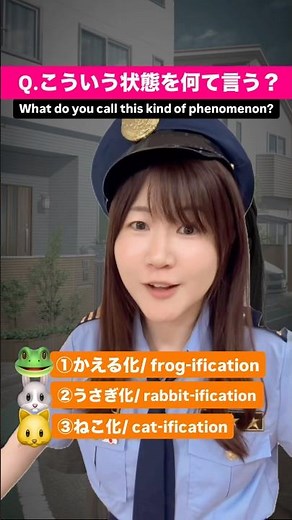 カエル化 #japaneselanguage #japaneselesson #japaneseculture #studyjapanese #jlpt