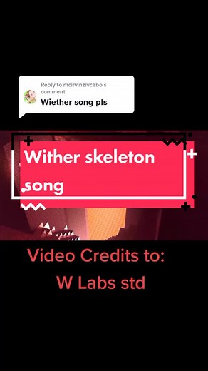 Minecraft Wither Skeleton Song (Video Credits Included)