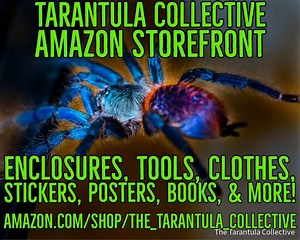 18 reactions · 3 comments | Help support the Tarantula Collective and get Tarantula and Invert supplies shipped straight to your door through the Tarantula Collective Amazon Storefront! www.amazon.com/shop/the_tarantula_collective | The Tarantula Collective | Facebook