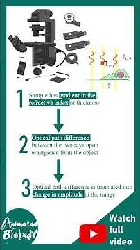 DIC microscopy | Differential contrast microscopy | DIC applications