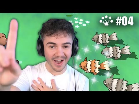 We Will Be Finding A Lot of Zigzagoon... || Shiny Horde Badge Quest