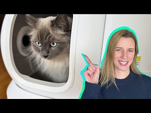 PETKIT PuroBot Max Pro Review: Is This the Best Automatic Litter Box?