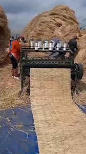 how to manage rice production #rice #production #india #fypシ゚viralシ #funnyreelsvideo #viralvideoシ #viralchallenge #company #business #everyone #engineering #Amazing | Bashar Aliyu