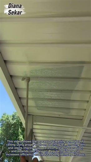 How to Clean a Metal Roof Ceiling | Fast & Efficient Exterior Maintenance