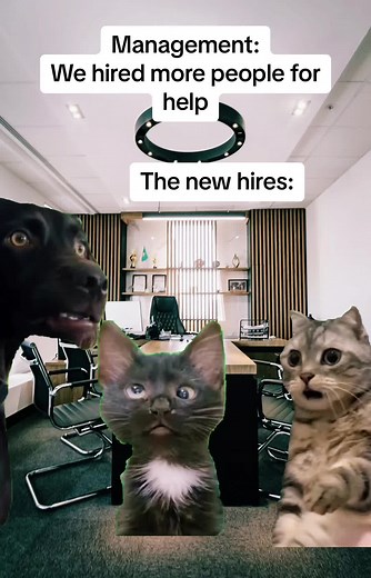#workhumor #workmemes #officehumor #corporatehumor #worklife #worklifebelike #workingmemes #work #humor #workingmemes #humortiktok #Meme #growmyaccount #cats #catsoftiktok #catlovers